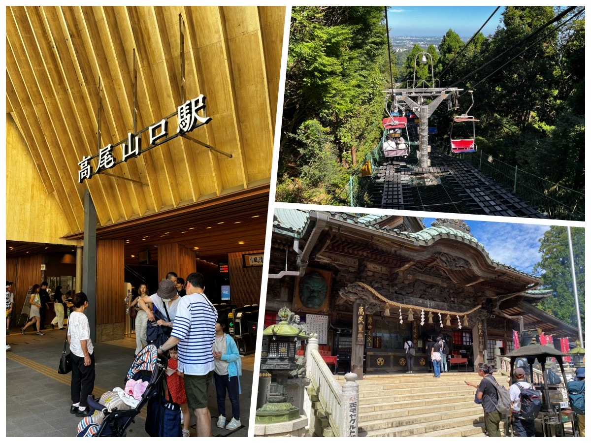 高尾山一日遊 | 從富士山河口湖出發，交通攻略、行李寄放服務，輕鬆上山享受自然芬多精