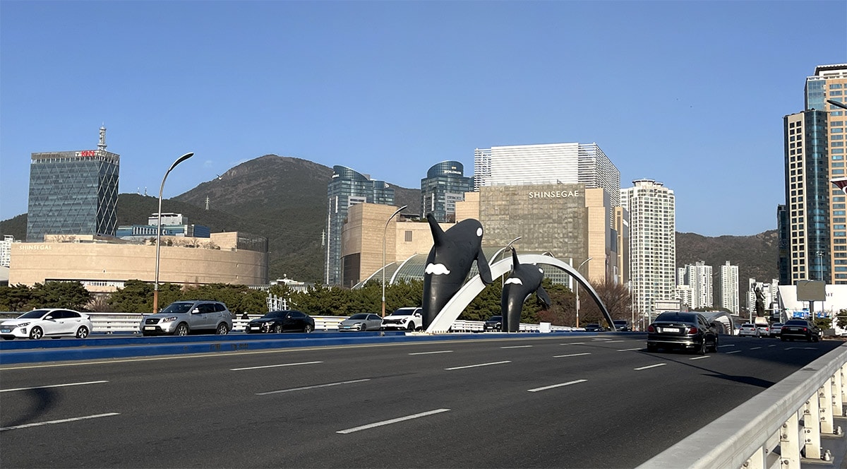 藍瓶咖啡釜山民樂店 Blue Bottle Busan Millak Cafe｜水營江景第一排，新世界百貨散步15分鐘河景咖啡攻略與必喝冰拿鐵